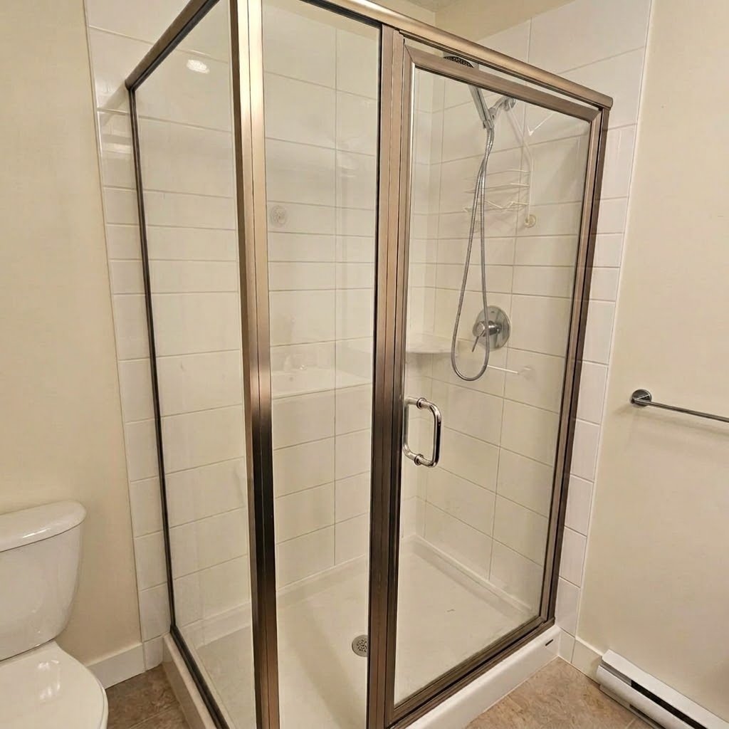 Frameless Shower Door